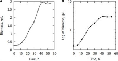 Bio-production of lactic and lactobionic acids using whey from the production of cow’s milk Wagashi cheese in Benin